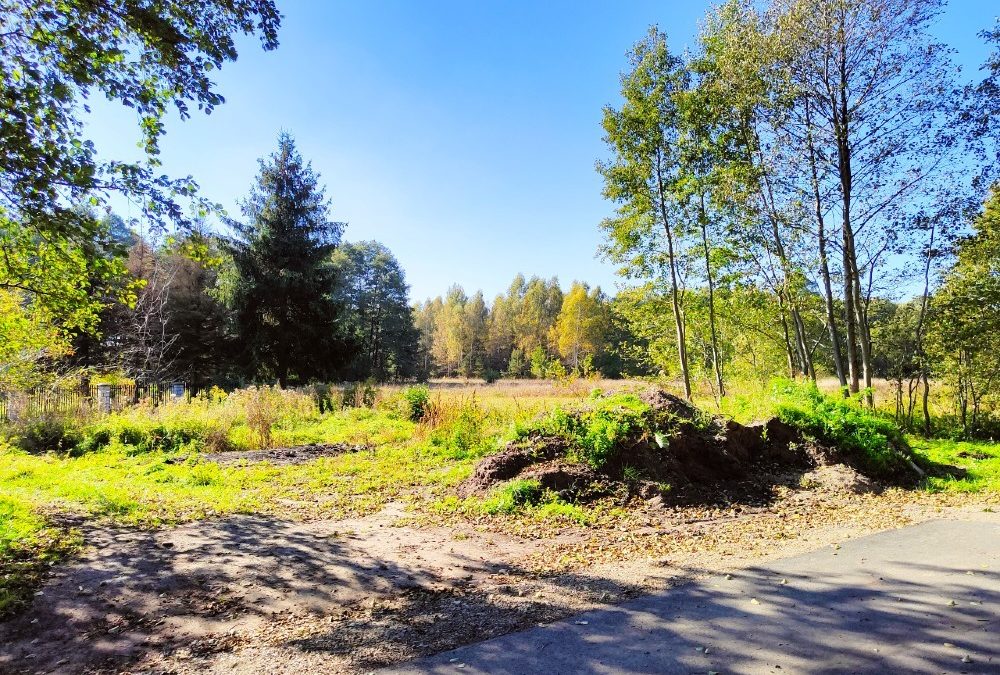2 działki o pow. 1261 m2 i 1602 m2, ul. Osiedlowa, Gózd