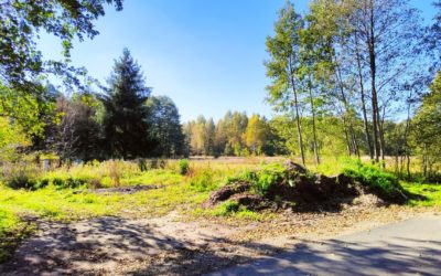 2 działki o pow. 1261 m2 i 1602 m2, ul. Osiedlowa, Gózd